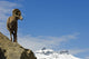 Male Bighorn Sheep On A Mountainside, Jasper National Park, Alberta Wall Mural