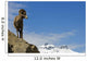 Male Bighorn Sheep On A Mountainside, Jasper National Park, Alberta Wall Mural