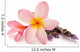Flower Decals - Frangipani with Lavender Wall Decal