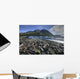 Kathleen Lake, Kluane National Park, Yukon Wall Mural