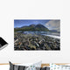Kathleen Lake, Kluane National Park, Yukon Wall Mural