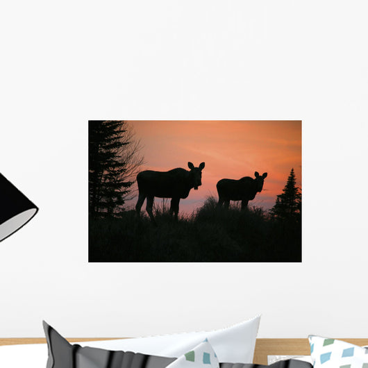 Moose Silhouetted At Sunset, Near Gunner's Cove, Newfoundland Wall Mural