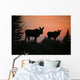 Moose Silhouetted At Sunset, Near Gunner's Cove, Newfoundland Wall Mural