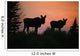 Moose Silhouetted At Sunset, Near Gunner's Cove, Newfoundland Wall Mural