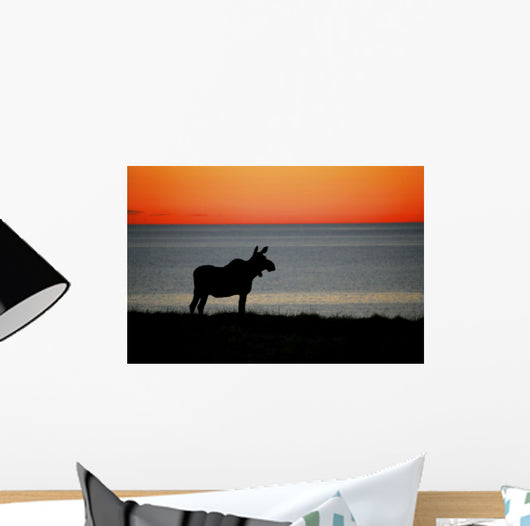 Moose Silhouetted At Sunset, Gros Morne National Park, Newfoundland Wall Mural