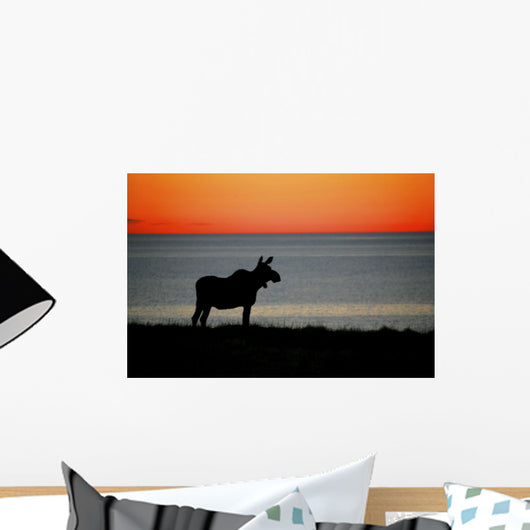 Moose Silhouetted At Sunset, Gros Morne National Park, Newfoundland Wall Mural