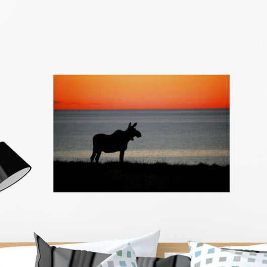 Moose Silhouetted At Sunset, Gros Morne National Park, Newfoundland Wall Mural
