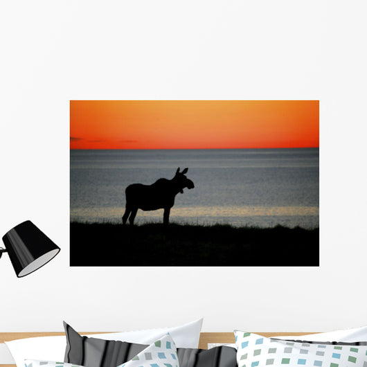 Moose Silhouetted At Sunset, Gros Morne National Park, Newfoundland Wall Mural