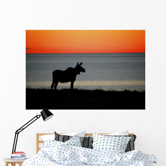 Moose Silhouetted At Sunset, Gros Morne National Park, Newfoundland Wall Mural