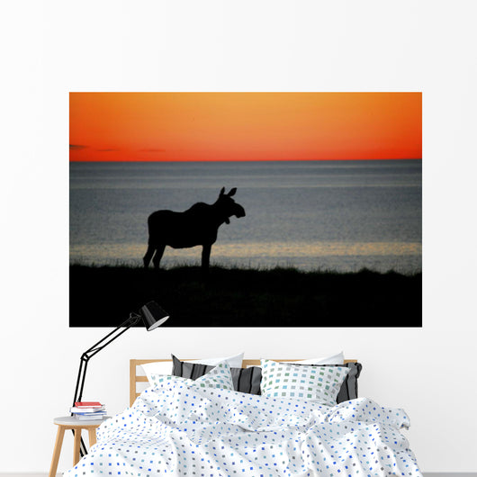 Moose Silhouetted At Sunset, Gros Morne National Park, Newfoundland Wall Mural