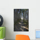 Forest Trail, Gros Morne National Park, Newfoundland Wall Mural