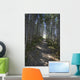 Forest Trail, Gros Morne National Park, Newfoundland Wall Mural
