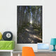 Forest Trail, Gros Morne National Park, Newfoundland Wall Mural