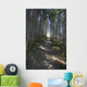 Forest Trail, Gros Morne National Park, Newfoundland Wall Mural
