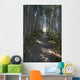 Forest Trail, Gros Morne National Park, Newfoundland Wall Mural