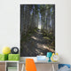 Forest Trail, Gros Morne National Park, Newfoundland Wall Mural