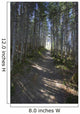 Forest Trail, Gros Morne National Park, Newfoundland Wall Mural
