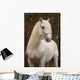 White Percheron Horse