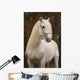 White Percheron Horse