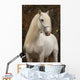 White Percheron Horse