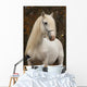 White Percheron Horse