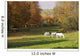 White Horses In An Autumn Landscape, Bromont, Quebec Wall Mural