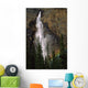 Takakkaw Falls And Rainbow Wall Mural