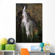 Takakkaw Falls And Rainbow Wall Mural