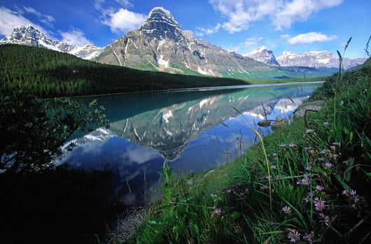 Rocky Mountains Along The Columbia Icefields Parkway, Alberta, Canada Wall Mural