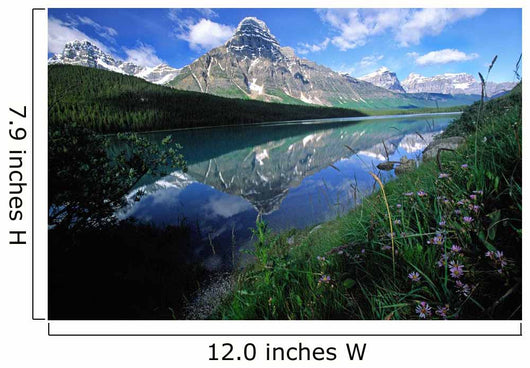 Rocky Mountains Along The Columbia Icefields Parkway, Alberta, Canada Wall Mural