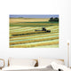 Swathing Canola, Tiger Hills, Manitoba Wall Mural