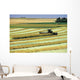 Swathing Canola, Tiger Hills, Manitoba Wall Mural