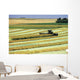 Swathing Canola, Tiger Hills, Manitoba Wall Mural