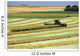 Swathing Canola, Tiger Hills, Manitoba Wall Mural