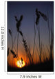 Silhouettes Of Wheat In A Farmers Field At Sunset Wall Mural
