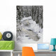 North Saskatchewan River, Banff National Park, Alberta, Canada Wall Mural