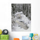 North Saskatchewan River, Banff National Park, Alberta, Canada Wall Mural