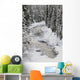 North Saskatchewan River, Banff National Park, Alberta, Canada Wall Mural