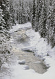 North Saskatchewan River, Banff National Park, Alberta, Canada Wall Mural