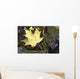 Leaf In Water, Niagara Peninsula, Ontario, Canada Wall Mural