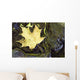Leaf In Water, Niagara Peninsula, Ontario, Canada Wall Mural