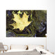 Leaf In Water, Niagara Peninsula, Ontario, Canada Wall Mural