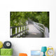 The 'whitewater Walk' Boardwalk Trail, Niagara Falls, Ontario, Canada Wall Mural
