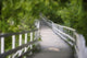 The 'whitewater Walk' Boardwalk Trail, Niagara Falls, Ontario, Canada Wall Mural