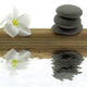 mineral zen, floral, bamboo Wall Decal
