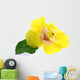 Yellow Hibiscus Flower White