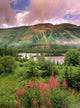 North Saskatchewan River Along The Icefields Parkway Wall Mural