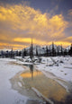 North Saskatchewan River, Kootenay Plains, Alberta, Canada Wall Mural