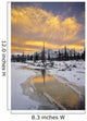 North Saskatchewan River, Kootenay Plains, Alberta, Canada Wall Mural