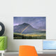 Rainbow Over Willmore Wilderness Park, Alberta, Canada Wall Mural